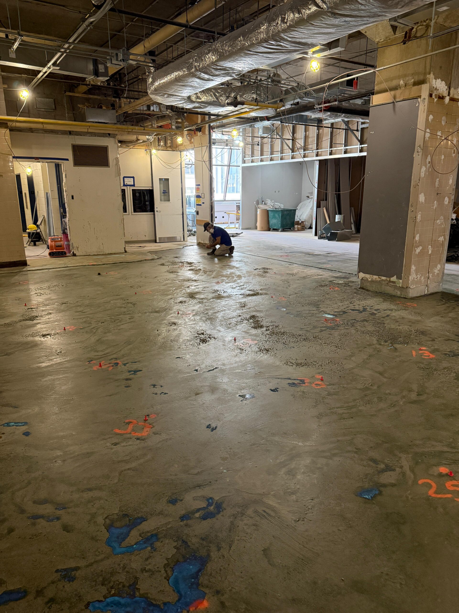 WhatsApp Image 2026 01 12 at 10.46.01